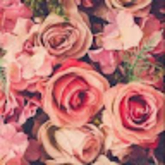 Meet your Posher, Shantel - Picture 1 of 1